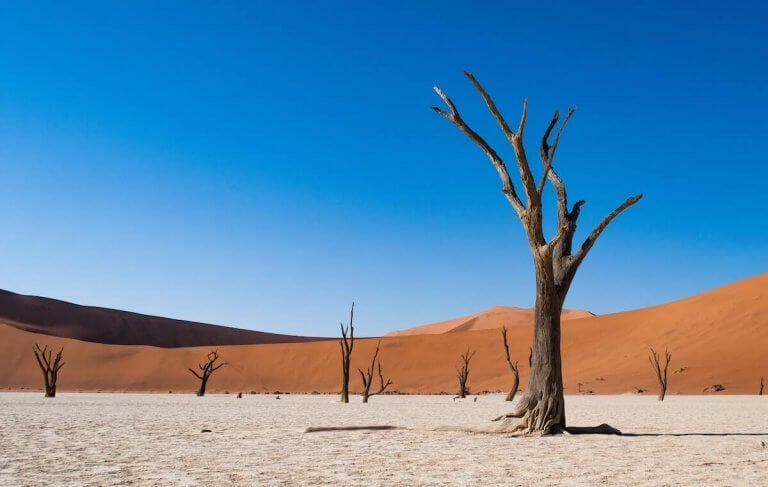 Namib Naukluft Park