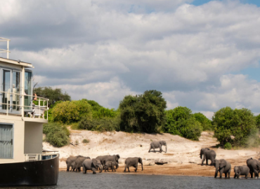 Zambezi Queen Collection