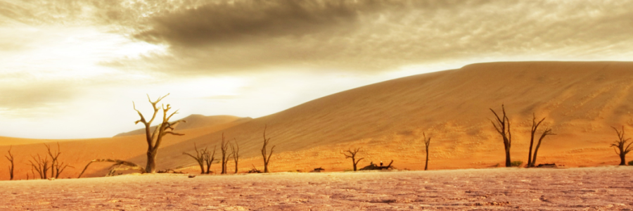 SELF-DRIVE TOUR through NAMIBIA