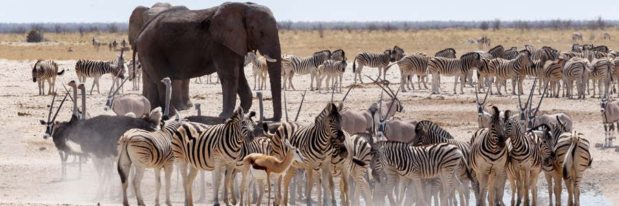 Namibia Go Epic