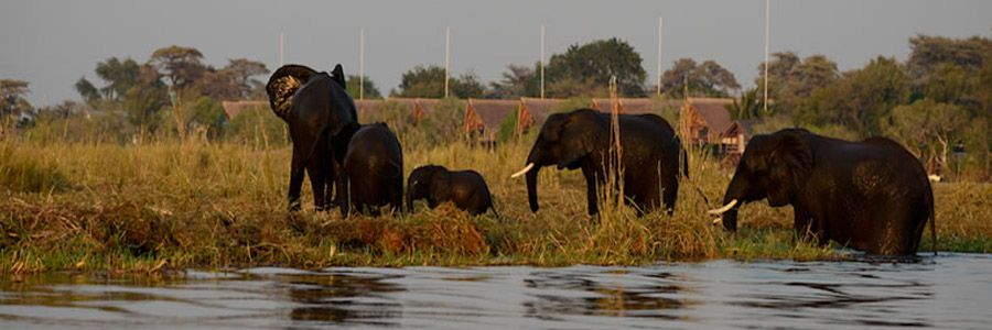 CHOBE WATER VILLAS