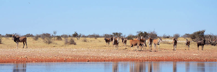 Lapa Lange Game Lodge