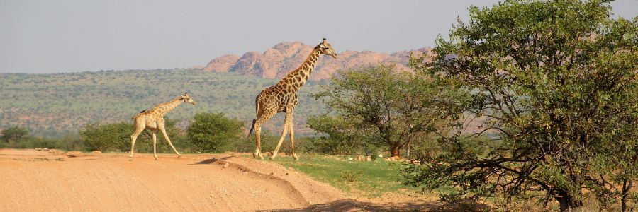 Walk-in Travel membership