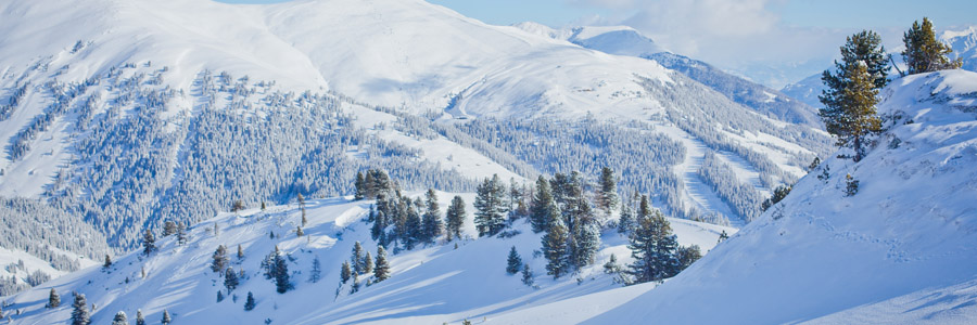 Fancy a Ski Trip in December