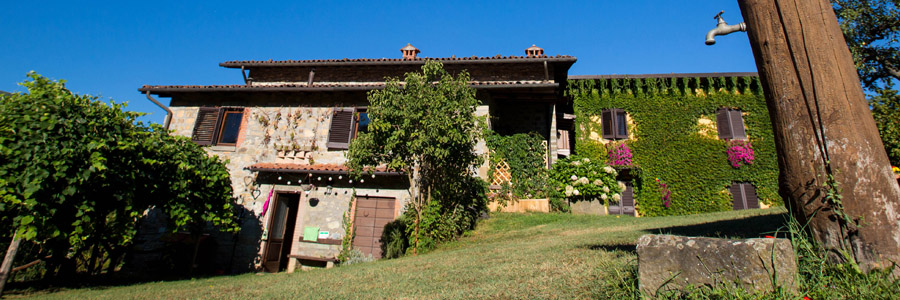 Walking in Tuscany