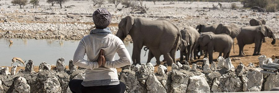 Namaste Yoga Safaris
