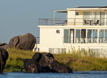 Chobe River Safari