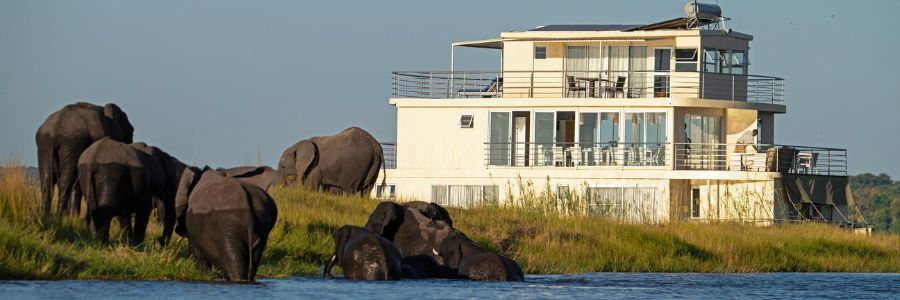 Chobe River Safari